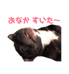 めぐ ろっか なっか（個別スタンプ：6）