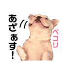 めぐ ろっか なっか（個別スタンプ：12）