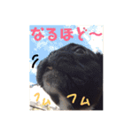 めぐ ろっか なっか（個別スタンプ：21）