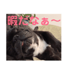 めぐ ろっか なっか（個別スタンプ：30）