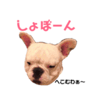 めぐ ろっか なっか（個別スタンプ：33）