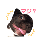 めぐ ろっか なっか（個別スタンプ：35）