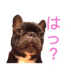 めぐ ろっか なっか（個別スタンプ：36）