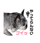 めぐ ろっか なっか（個別スタンプ：38）