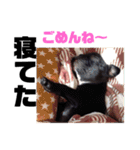 めぐ ろっか なっか（個別スタンプ：39）