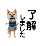 柴犬サニーの敬語（個別スタンプ：7）