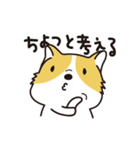 動物生活チャンネル - 毎日式（個別スタンプ：8）