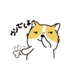 動物生活チャンネル - 毎日式（個別スタンプ：10）