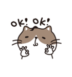 動物生活チャンネル - 毎日式（個別スタンプ：14）