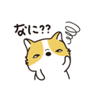 動物生活チャンネル - 毎日式（個別スタンプ：26）