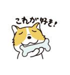 動物生活チャンネル - 毎日式（個別スタンプ：29）