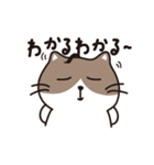 動物生活チャンネル - 毎日式（個別スタンプ：33）