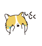 動物生活チャンネル - 毎日式（個別スタンプ：35）