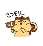 動物生活チャンネル - 毎日式（個別スタンプ：36）