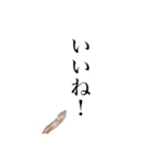 煮干し達 2（個別スタンプ：7）