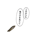 煮干し達 2（個別スタンプ：11）