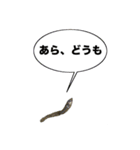 煮干し達 2（個別スタンプ：21）