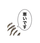 煮干し達 2（個別スタンプ：29）
