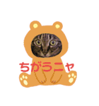 マンちゃん第3弾ニャ！（個別スタンプ：6）