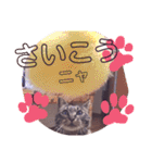 マンちゃん第3弾ニャ！（個別スタンプ：12）