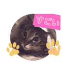 マンちゃん第3弾ニャ！（個別スタンプ：18）