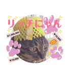 マンちゃん第3弾ニャ！（個別スタンプ：21）