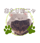 マンちゃん第3弾ニャ！（個別スタンプ：24）
