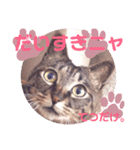 マンちゃん第3弾ニャ！（個別スタンプ：27）