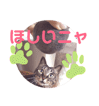マンちゃん第3弾ニャ！（個別スタンプ：28）