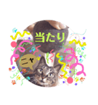 マンちゃん第3弾ニャ！（個別スタンプ：30）