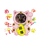 マンちゃん第3弾ニャ！（個別スタンプ：40）