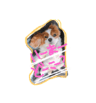 キャバリア りりぃちゃん♡（個別スタンプ：6）