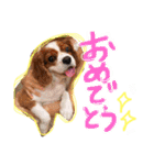 キャバリア りりぃちゃん♡（個別スタンプ：26）