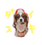 キャバリア りりぃちゃん♡（個別スタンプ：34）