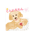ゴールデンのニコと仲間たち2（個別スタンプ：3）