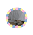 番犬リグ（個別スタンプ：8）