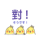 オカメインコ-デカ文字（台湾・中国語）（個別スタンプ：13）