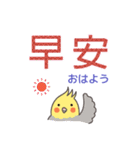 オカメインコ-デカ文字（台湾・中国語）（個別スタンプ：17）