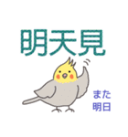 オカメインコ-デカ文字（台湾・中国語）（個別スタンプ：20）