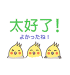 オカメインコ-デカ文字（台湾・中国語）（個別スタンプ：30）