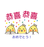 オカメインコ-デカ文字（台湾・中国語）（個別スタンプ：40）