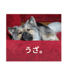 気まぐれマー君（個別スタンプ：5）