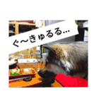 気まぐれマー君（個別スタンプ：6）
