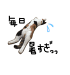 KIKI ^._.^   3（個別スタンプ：1）