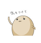 煮たまご（個別スタンプ：26）