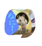 プティのあいさつ（個別スタンプ：4）