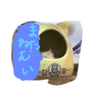 プティのあいさつ（個別スタンプ：7）