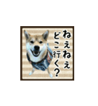 柴犬つむぎ ～冬〜（個別スタンプ：28）