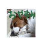 嵐夢(らいむ)の日常（個別スタンプ：4）