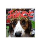 嵐夢(らいむ)の日常（個別スタンプ：5）